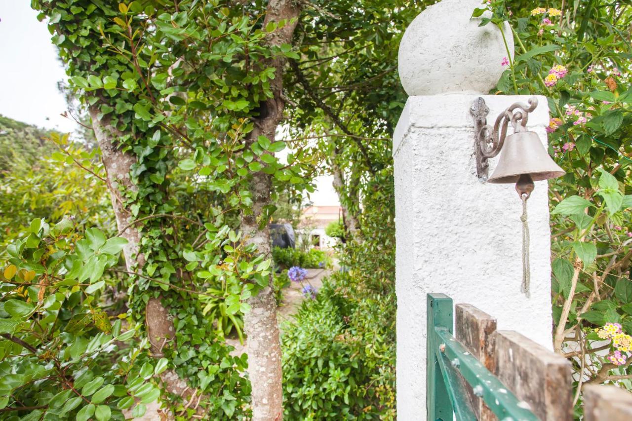 Beautiful Country House&Romantic Garden Sintra Exterior foto